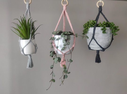 Mini Macrame Plant Hanger, Short Hanging