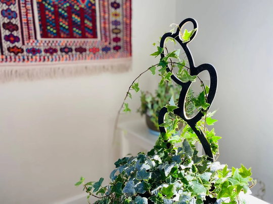 Oval Shaped Trellis To Support Indoor House Plants