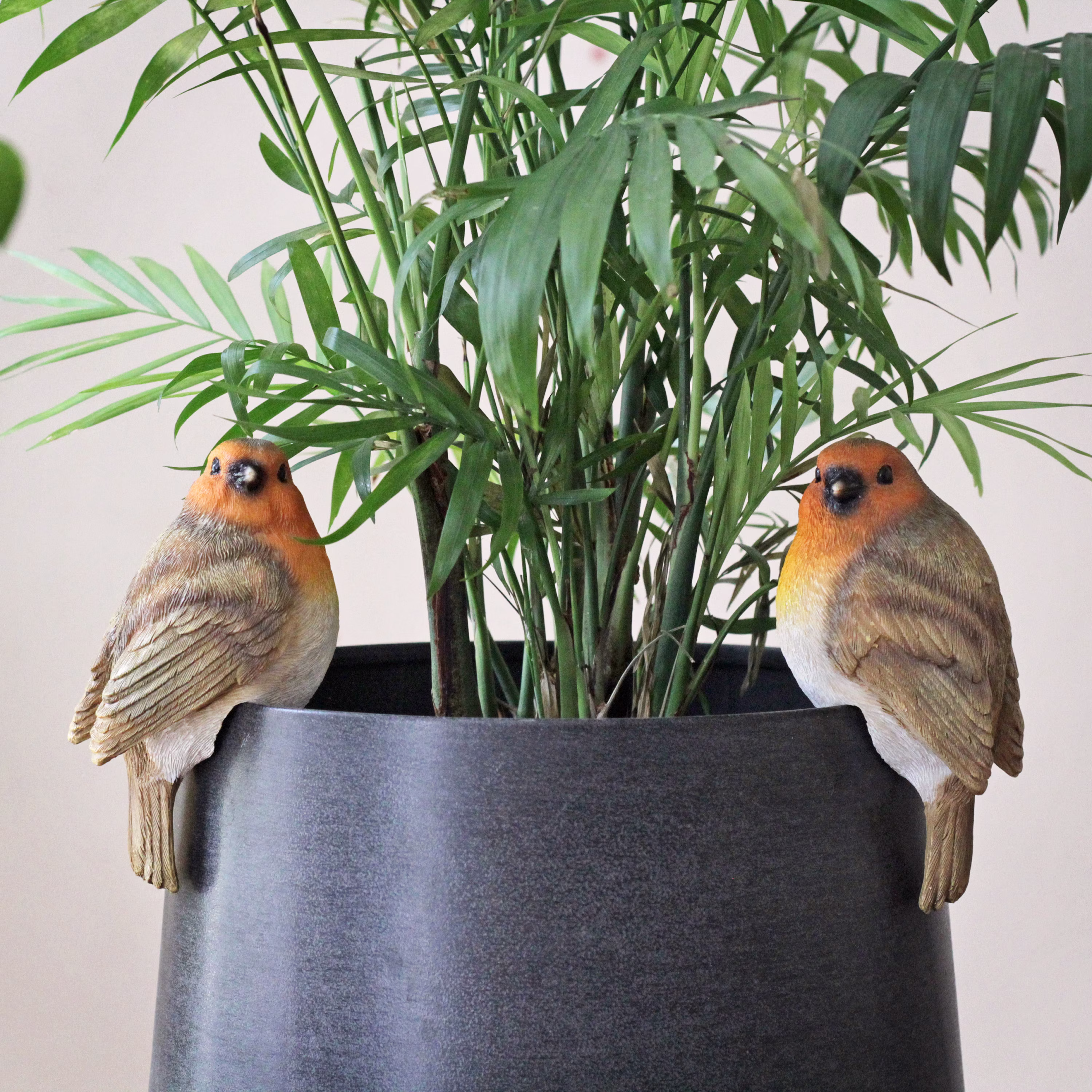 Set Of 2 Robin Pot Hangers