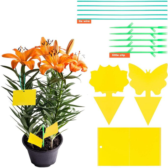 Deckon - 50 Pack Insect Trap Sticky Trap Waterproof Double Sided Adhesive Sticker Yellow Flytrap White Aphids Garden Plants Flowers Fruit (Butterfly