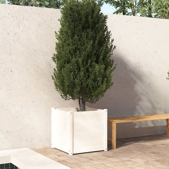 Asupermall - Garden Planter White 60x60x60 cm Solid Pinewood