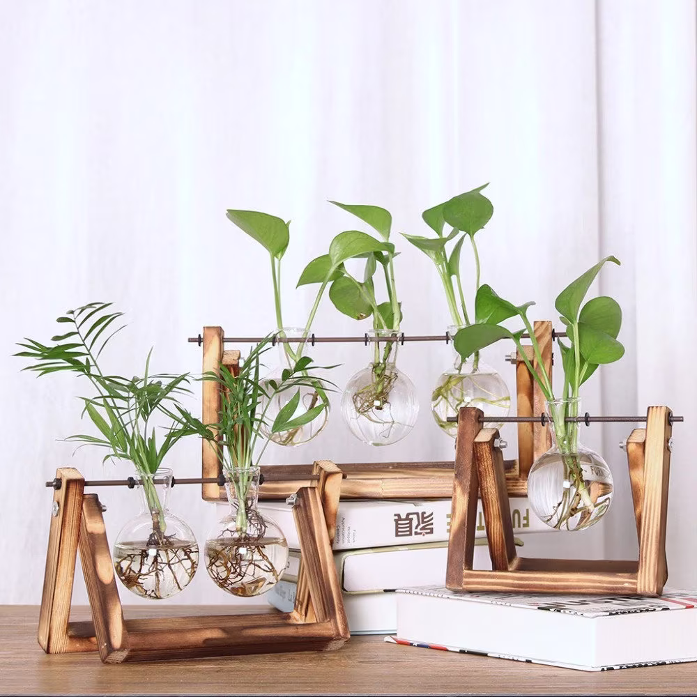 Glass Wood Planter Bulb Vase With Wooden Stand |Terrarium Hydroponic Plant Vases Vintage Flower Pot