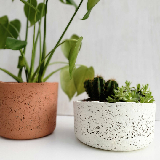 White Concrete And Recycled Paper Bowl Planter