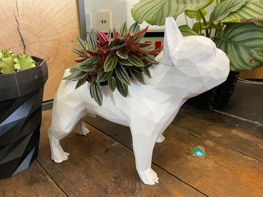 French Bulldog Frenchie Planter Plant Pot . 3D Printed