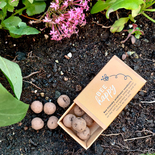Bee Happy Seed Balls