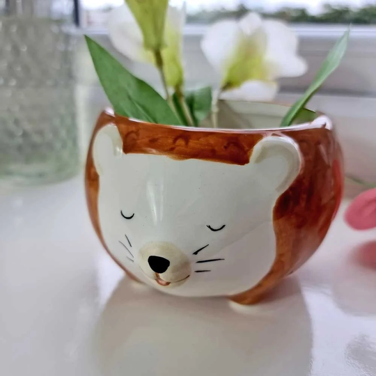 Hettie The Hedgehog Planter Bowl