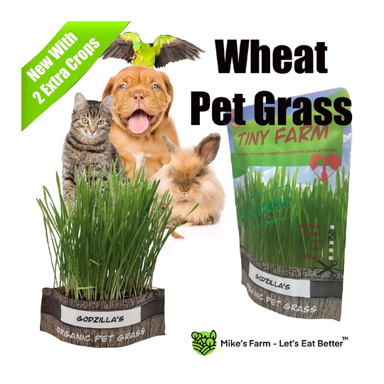 Organic Wheat Pet Grass - Grow Your Own Healthy, Organic Pet Grass. Kit Includes Everything To Grow 3 Batches