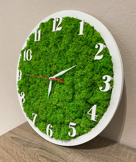 Decorative Real Bulk Norway Preserved Moss Pole Pillow Bun Cushion Natural Green Mood Supermoss Dried Chartreuse Forest Terrariums V25