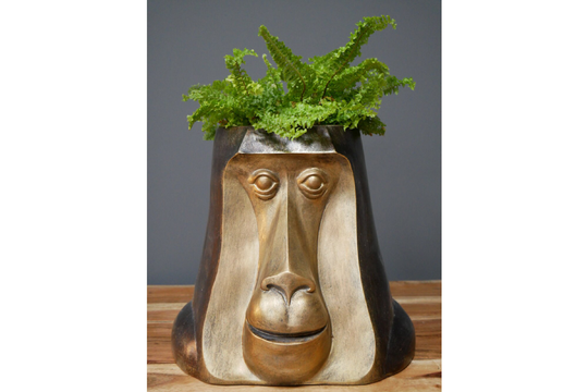 Monkey Head Garden Planter Pot Outdoor/Indoor