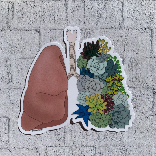 Succulent Lung | Anatomy & Plants Stickers Vinyl Waterproof Stickers Chiropractic Medicine