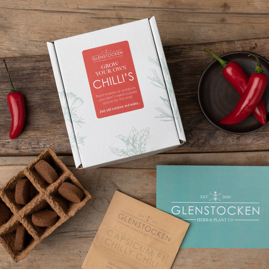 Grow Your Own Chilis Indoor Seed Kit