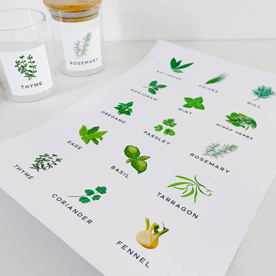 Sheet Of 15 Illustrated Colour Herb Labels