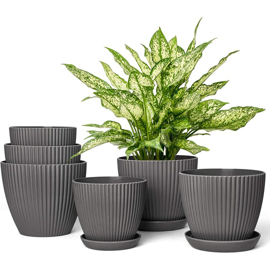 6 Packs Plastic Planters with Saucers Indoor Flower Plant Pot, 3 Different Size Gardening Containers with Drainage Trays for Flowers, Herbs, Cactus,