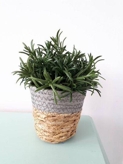Faux Rosemary Plant
