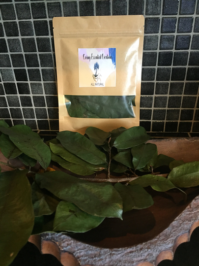 Sugar Apple Leaves, Sweetsop Leaves Air Dried, Fey Kowosol, Atis