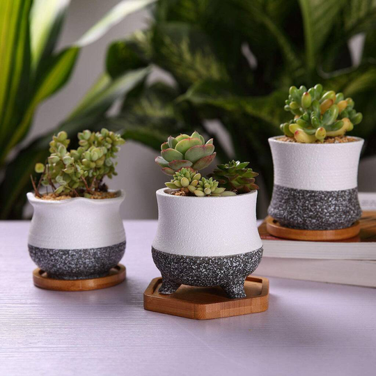Set Of Three Mini Planters With Bamboo Trays