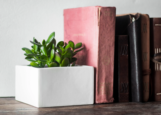 Square Ceramic Planter, Bookends Modern White Tabletop Planter