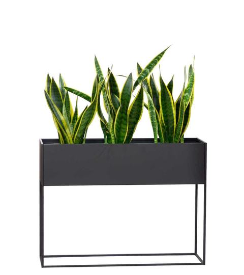 Plant Box - Extra Long Planter On Stand Ural Black