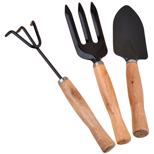 3PCS Garden Planting Tool Set Hand Tools Bonsai Succulent Transplanting Iron Rake Shovel Trowel for Home Garden