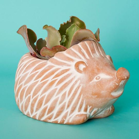 Bangladesh Large Rustic Terracotta Hedgehog Succulent Planter