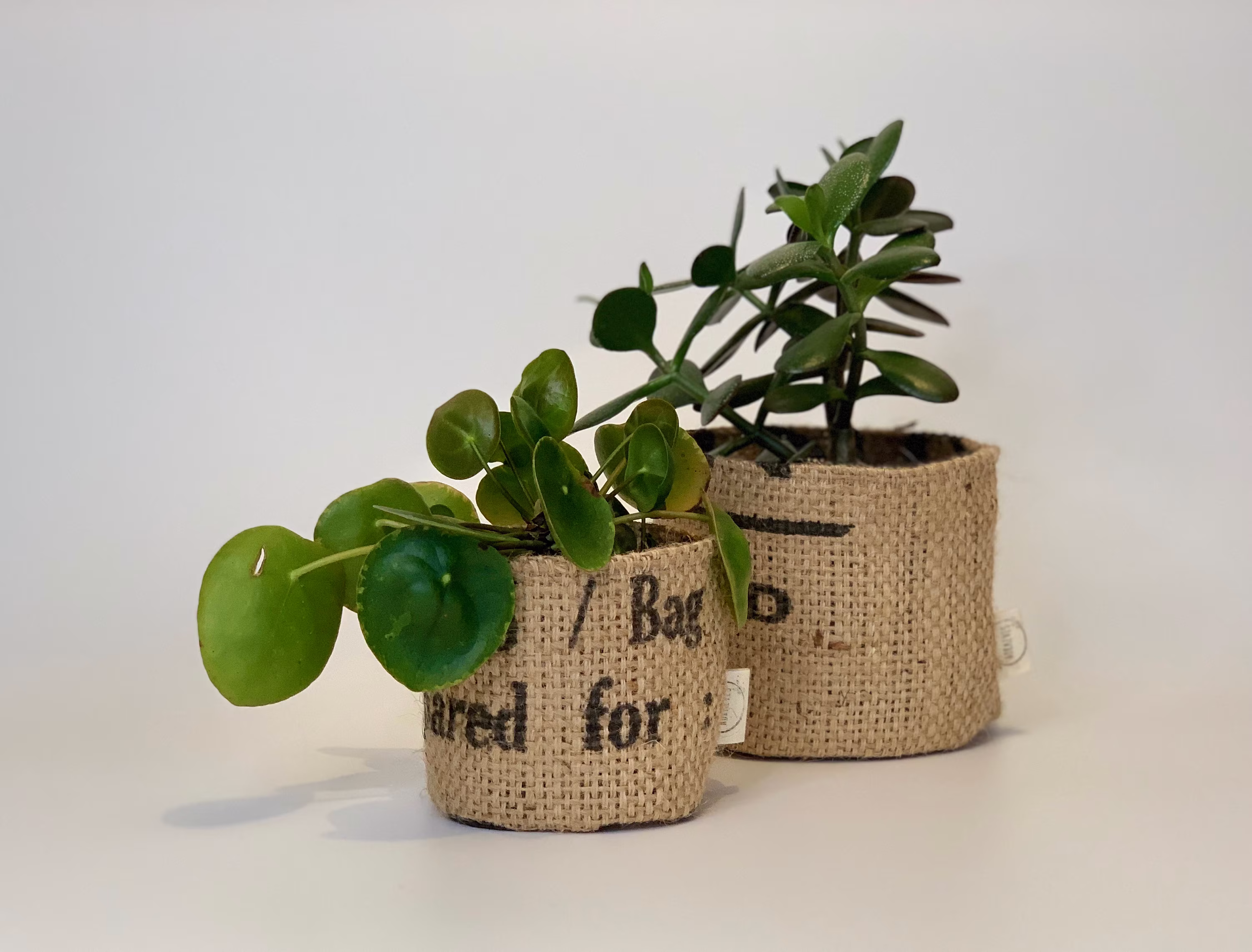Altered Upcycled Eco Friendly Coffee Sack Pot Planters