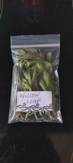 Willow Leaf - Home Grown Loose Magical & Healing Plant Love Protection Enchantment Spells & Incense Magic Wicca Pagan