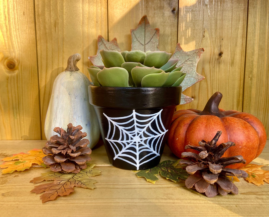 Spider Web Pot 11 cm | Painted Terracotta With Drainage Hole Hand Cobweb Planter Creative Gift Halloween Decor