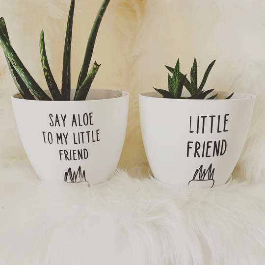 Say Aloe To My Little Friend & Plant Pots Funny Quotes On Pots Pots Medium Indoor Witty Planter Gift