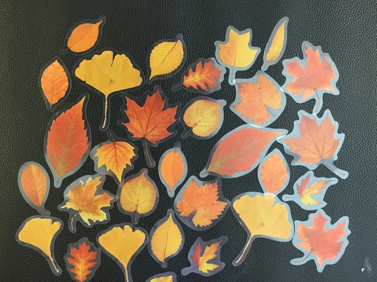 Autumn Leaves 40 | Pet Stickers, The Leaves Will Fall, Realistic Changing Of Seasons & They Make A Darn Good Gift
