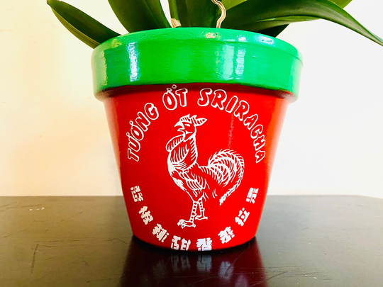 Sriracha Sauce Plant Pot - 6 Inch