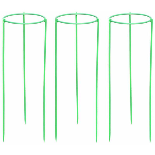 Climbing Plant Support Stakes Tall Plant Support Rin-g Cage for Garden Plant Flower Vegetable,,XL & 3PCS