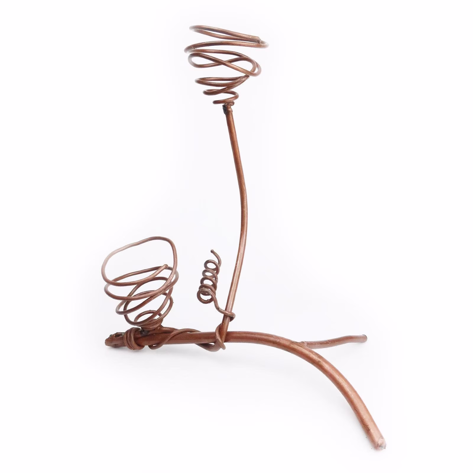 Air Plants | Double Nest Plant Holder Planters