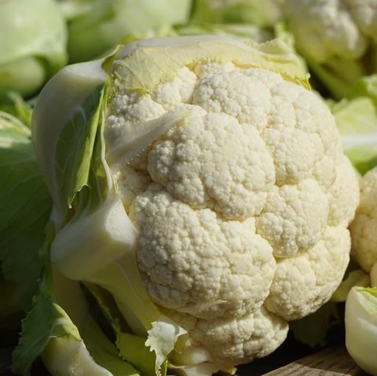 Super Early Snowball Cauliflower Seed Pack - Heirloom Vegetable Seeds