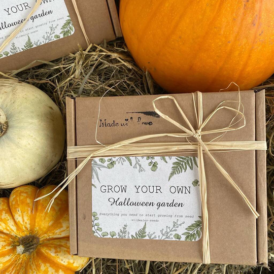 Grow Your Own Halloween Garden