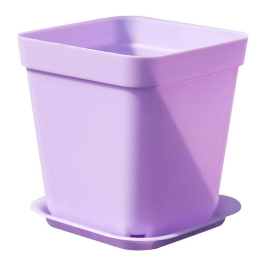 Briday - 10 Pieces Plastic Square Nursery Pots with Drainage Hole Purple Seed Starter Pots Containers Bonsai Flower Pot Vase Succulent Seedling