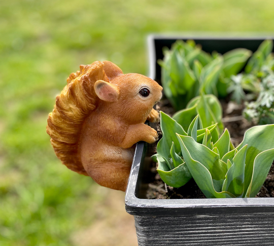 Red Squirrel Resin Plant Pot Hanger Climbing Novelty Garden Ornament Decoration Gift