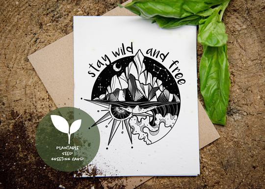 Plantable Seed Card, Sustainable Biodegradable Eco Friendly Card For Friend, Basil Seeds Paper, Wildflower