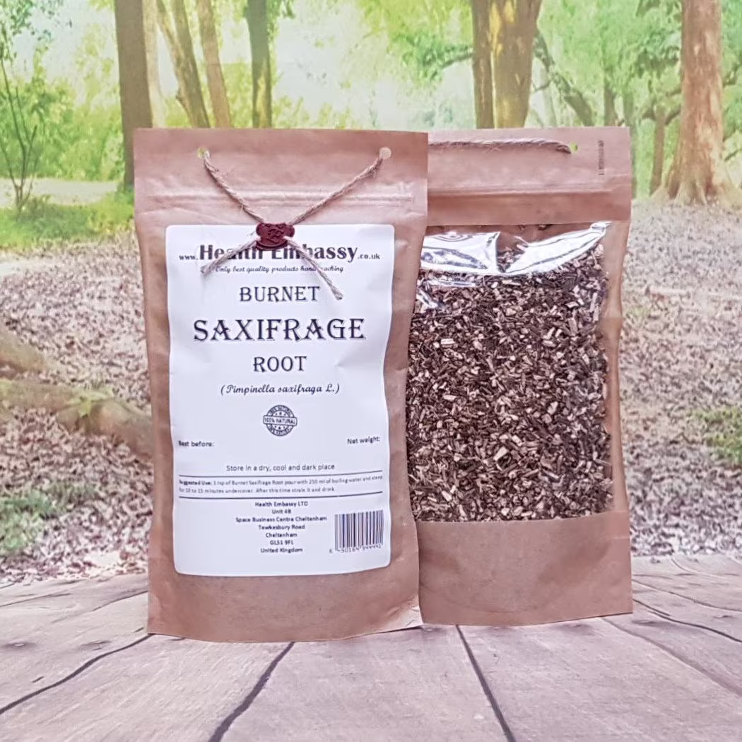 Burnet Saxifrage Root/Pimpinella Saxifraga L. Health Embassy