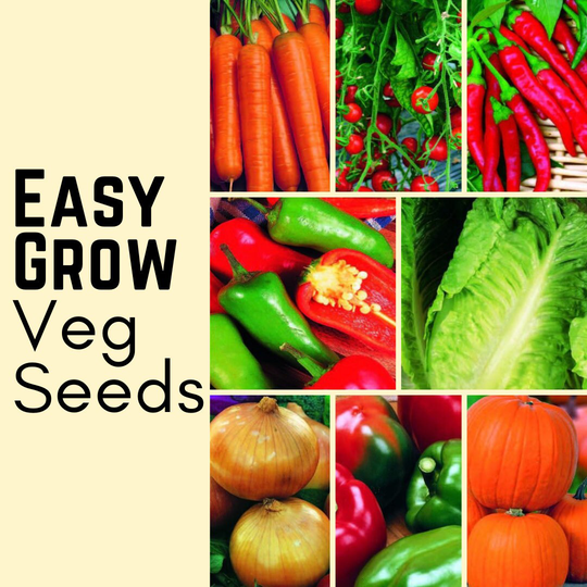 Vegetable Seeds Easy Grow Veg Disease Free Tomato Chilli Lettuce Radish Bean Pea All Year Round Your Own Indoor Outdoor in The UK