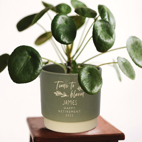 Personalised Retirement Indoor Plant Pot, Time To Bloom Wish Someone Luck, Say Farewell With A Personal Bespoke Gift