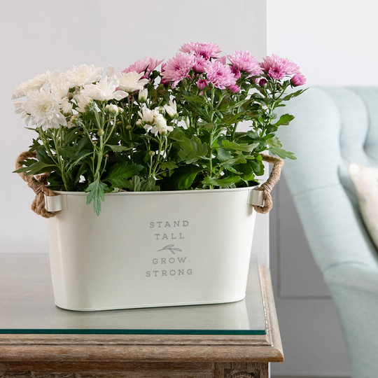 Engraved 'Stand Tall Grow Strong' Planter