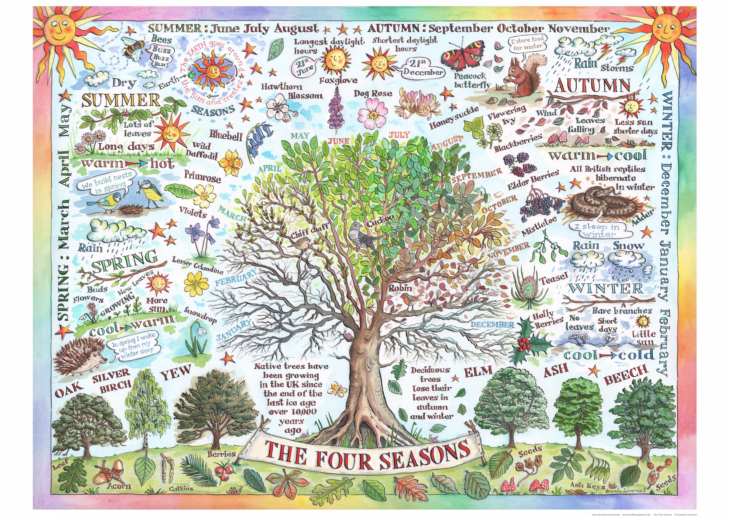 Poster Four Seasons By Amanda Loverseed Children's Picture Educational Weather Trees Nature Art Print School Gift Bedroom Illustration Facts