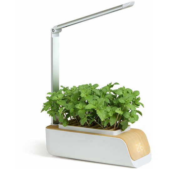 Bearsu - Hydroponics System, Indoor Herb Garden Kit with Grow Light, White