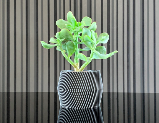 Indoor Plant Pot, Small Succulent Modern Pot Design