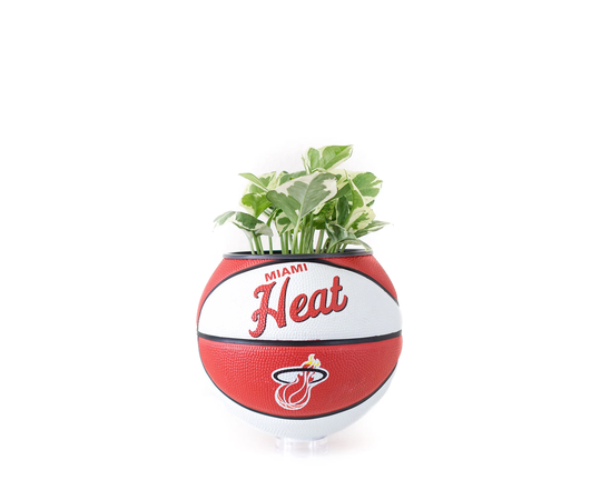 Plntrs - Wilson Heat Hardcourt Classic Mini Basketball Planter New Ball With Stand