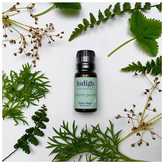 Clary Sage Essential Oil
