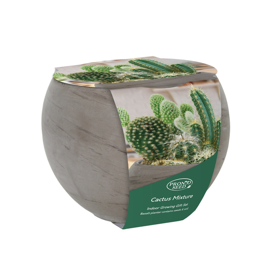 Mixed Cactus Grow Kit Gift in Large Basalt Planter