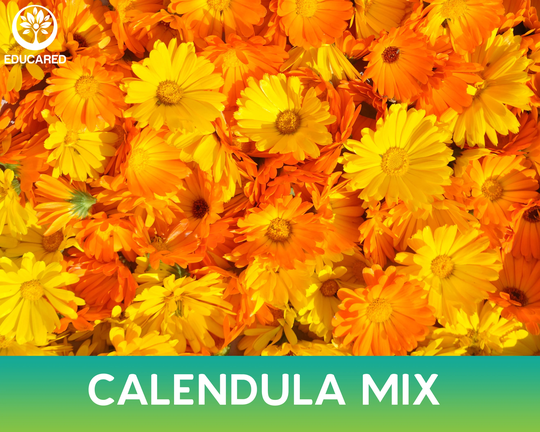 Calendula Mix Organic Seeds, Medicinal Herb, Flower Shrub Plant, Annual Flower, Gmo Free, Heirloom Plants, Gardening