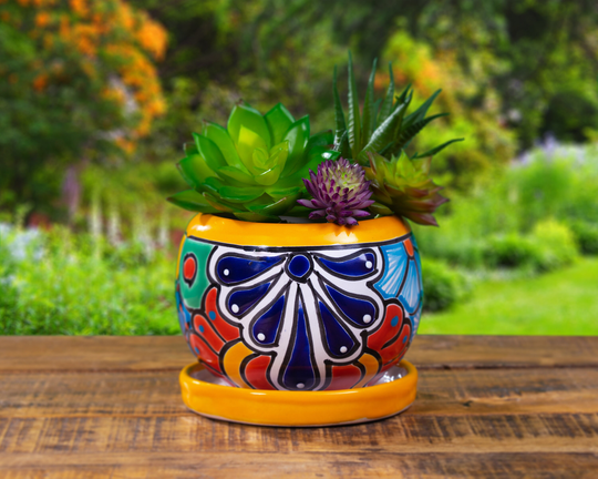 Talavera Small Succulent Bowl Planter With Saucer - Marigold