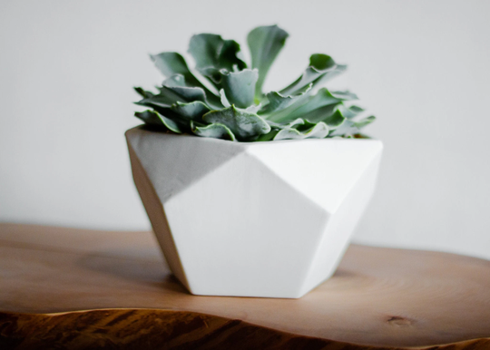 Geodesic Porcelain Planter, White Ceramic Modern Geo Pentagon